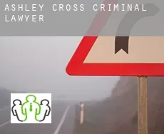 Ashley Cross criminal lawyer