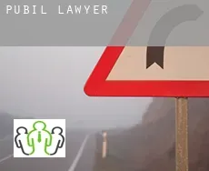 Pubil  lawyer