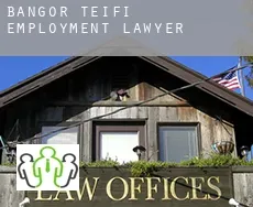 Bangor Teifi  employment lawyer