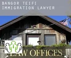 Bangor Teifi  immigration lawyer