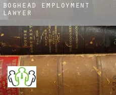 Boghead  employment lawyer