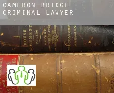 Cameron Bridge  criminal lawyer