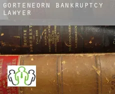 Gorteneorn  bankruptcy lawyer
