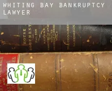 Whiting Bay  bankruptcy lawyer