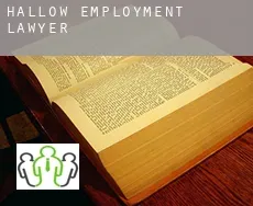 Hallow  employment lawyer