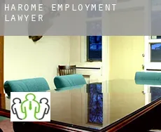 Harome  employment lawyer