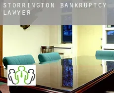 Storrington  bankruptcy lawyer