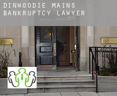 Dinwoodie Mains  bankruptcy lawyer