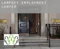 Lamphey  employment lawyer