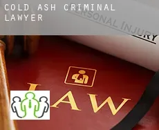 Cold Ash  criminal lawyer