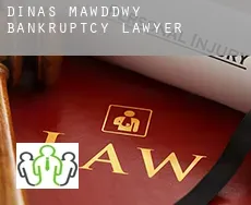 Dinas Mawddwy  bankruptcy lawyer