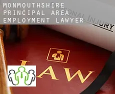 Monmouthshire principal area  employment lawyer