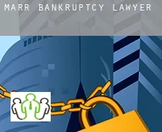 Marr  bankruptcy lawyer