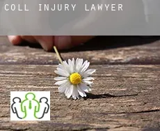 Coll injury lawyer