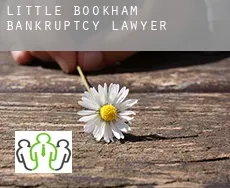 Little Bookham  bankruptcy lawyer