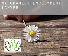 Marchamley  employment lawyer