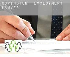 Covington  employment lawyer