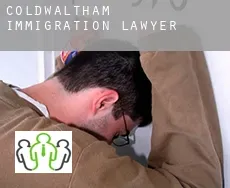 Coldwaltham immigration lawyer