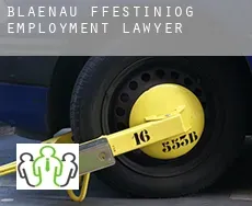 Blaenau-Ffestiniog  employment lawyer
