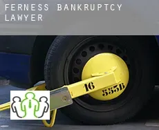 Ferness  bankruptcy lawyer