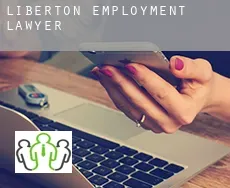Liberton  employment lawyer