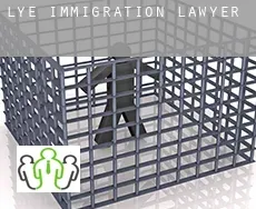 Lye  immigration lawyer