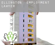 Ellington employment lawyer