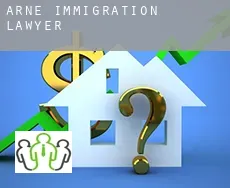 Arne  immigration lawyer