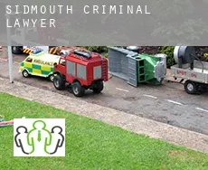 Sidmouth  criminal lawyer