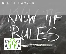 Borth  lawyer