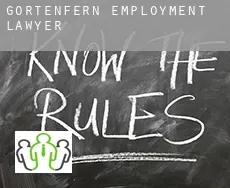 Gortenfern  employment lawyer