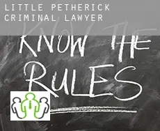 Little Petherick  criminal lawyer