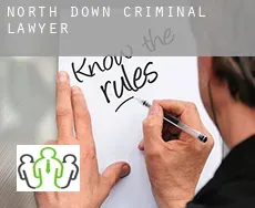 North Down  criminal lawyer