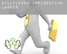 Killyleagh immigration lawyer