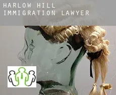 Harlow Hill  immigration lawyer