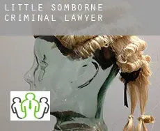 Little Somborne  criminal lawyer