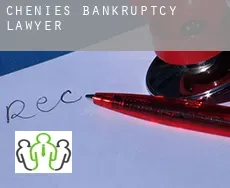 Chenies bankruptcy lawyer