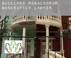 Buckland Monachorum  bankruptcy lawyer