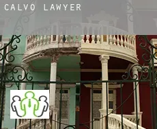 Calvo  lawyer