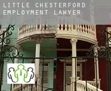 Little Chesterford  employment lawyer