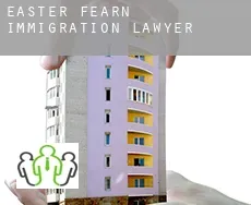 Easter Fearn  immigration lawyer