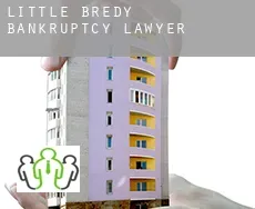 Little Bredy  bankruptcy lawyer