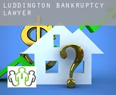 Luddington  bankruptcy lawyer