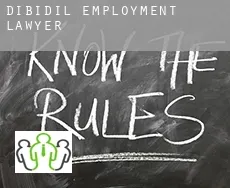 Dibidil  employment lawyer