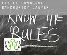 Little Somborne  bankruptcy lawyer