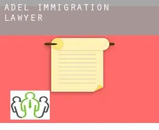 Adel  immigration lawyer
