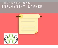 Broadmeadows employment lawyer