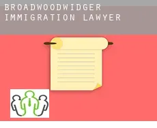 Broadwoodwidger  immigration lawyer