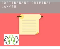 Gortinanane  criminal lawyer