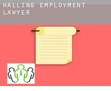 Halling  employment lawyer
